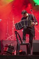 19 Fiesta Nacional del Taninero y 12 Provincial del Chamam en Puerto Tirol