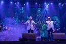 19 Fiesta Nacional del Taninero y 12 Provincial del Chamam en Puerto Tirol