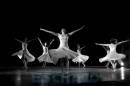 Ballet Contemporneo del Chaco