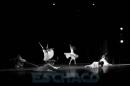 Ballet Contemporneo del Chaco
