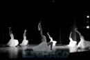 Ballet Contemporneo del Chaco