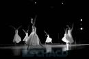 Ballet Contemporneo del Chaco