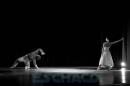 Ballet Contemporneo del Chaco