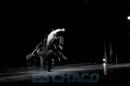 Ballet Contemporneo del Chaco