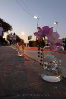 Festividad de la Inmaculada Concepcin de Mara
