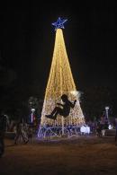 Encendido de rbol Navideo