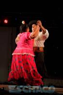 11 Festival Nacional del Taninero y 4 Fiesta Provincial del Chamam