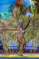 Show de Comparsas 2018 del Carnaval de Corrientes