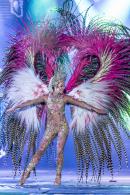 Show de Comparsas 2018 del Carnaval de Corrientes