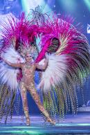 Show de Comparsas 2018 del Carnaval de Corrientes