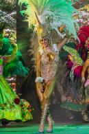 Show de Comparsas 2018 del Carnaval de Corrientes