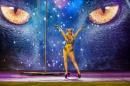 Show de Comparsas 2018 del Carnaval de Corrientes