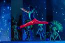 Show de Comparsas 2018 del Carnaval de Corrientes