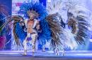 Show de Comparsas 2018 del Carnaval de Corrientes