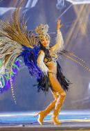Show de Comparsas 2018 del Carnaval de Corrientes