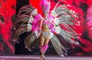 Show de Comparsas 2018 del Carnaval de Corrientes