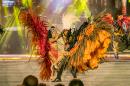 Show de Comparsas 2018 del Carnaval de Corrientes