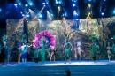 Show de Comparsas 2018 del Carnaval de Corrientes