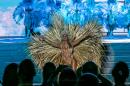 Show de Comparsas 2018 del Carnaval de Corrientes