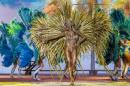 Show de Comparsas 2018 del Carnaval de Corrientes