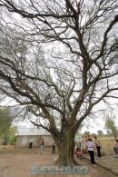 Press Trip a Senz Pea y Campo del Cielo