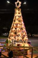 El Poder Legislativo encendi el rbol de Navidad frente al Hospital Peditrico