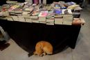 Postales de la Feria del Libro: Chaco Lee para Crecer