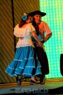 Fiesta Nacional del Chamam. Parte II