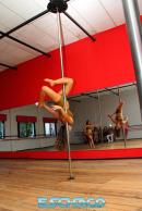 Primer Estudio Especializado de Pole Dance