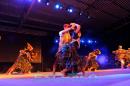 Fiesta Nacional del Algodn: Da III