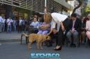 Homenaje a los Maestros