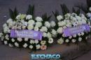 Homenaje a los Maestros