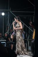 Puerto Tirol: Noche de consagrados artistas en la Fiesta del Chamam