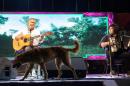 Puerto Tirol: Noche de consagrados artistas en la Fiesta del Chamam