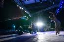 Puerto Tirol: Noche de consagrados artistas en la Fiesta del Chamam
