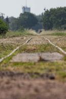 Oficializan la reactivacin del ramal de tren Metropolitano