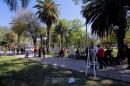Bienal de Arte y Pintura en la Plaza 25 de Mayo