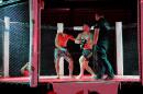 10 edicin del Extreme Fight