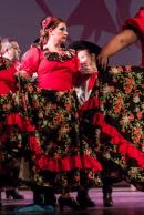 Apasionados por el folklore V