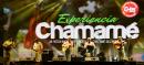 Experiencia Chamam: Noche del Domingo 14