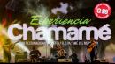 Experiencia Chamam: Noche del Domingo 14