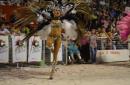 Carnavales de San Martn