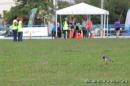 Postales del 97 Campeonato Nacional de Atletismo