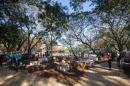 Bienal 2018: Apertura oficial da I