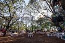 Bienal 2018: Apertura oficial da I