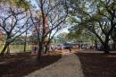 Bienal 2018: Apertura oficial da I