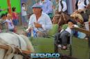 Cabalgata por el Da de la Tradicin