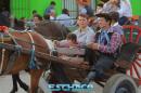 Cabalgata por el Da de la Tradicin