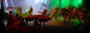 24 Fiesta Nacional del Chamam en Corrientes. Postales de la Sptima luna