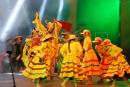 24 Fiesta Nacional del Chamam en Corrientes. Postales de la Sptima luna